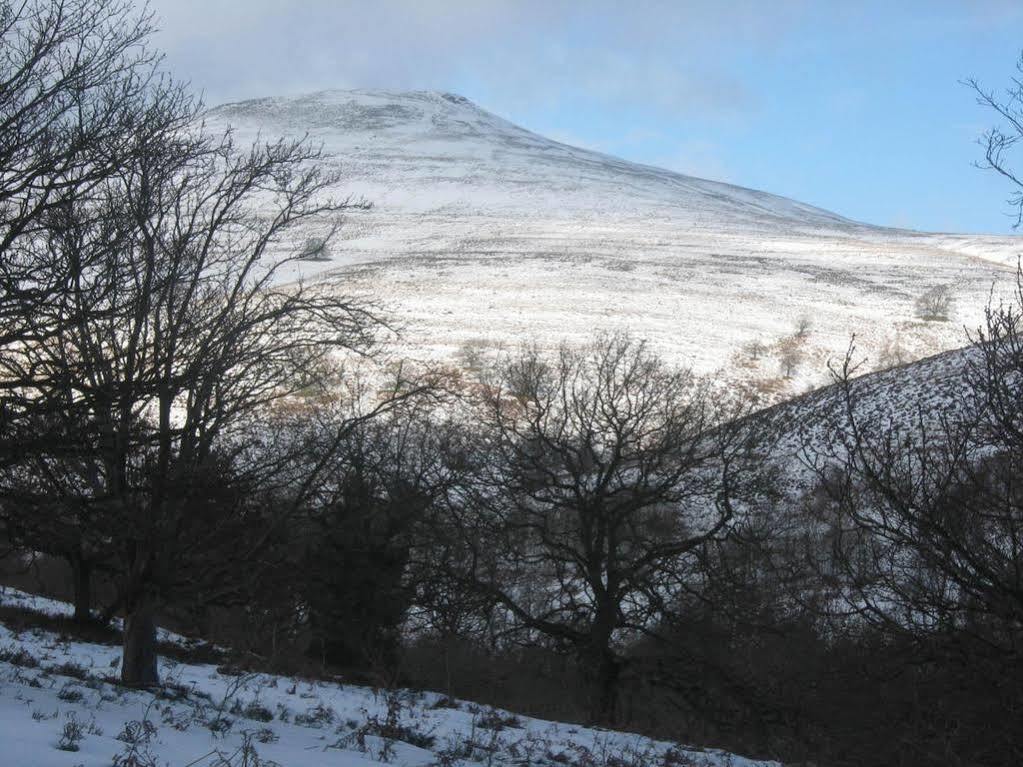 Plas Derwen Hotel Abergavenny ภายนอก รูปภาพ